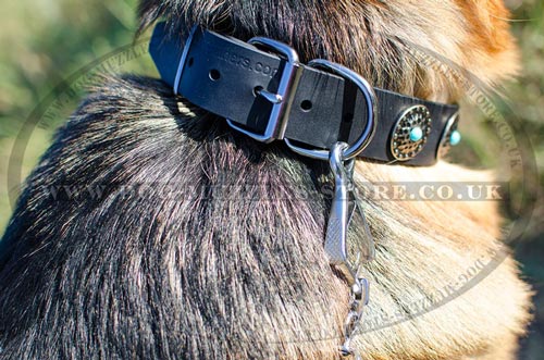 Gorgeous Dog Collars for German Shepherd for Sale