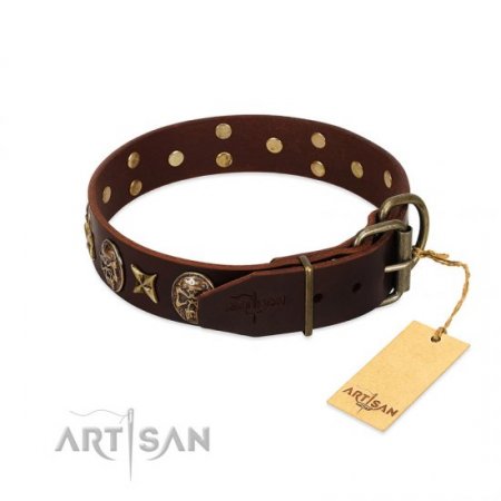 "Captain Hook" Chocolate Brown Leather Dog Collar FDT Artisan