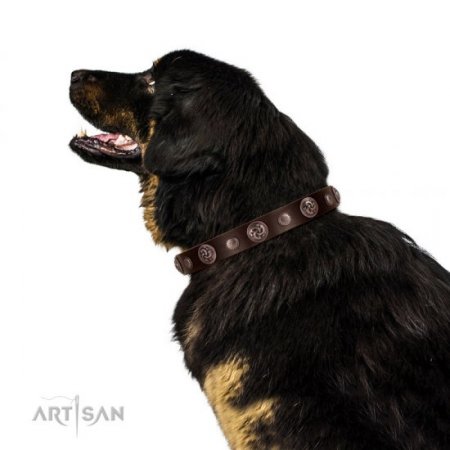 Designer Studded Dog Collar With Round Ornaments FDT Artisan