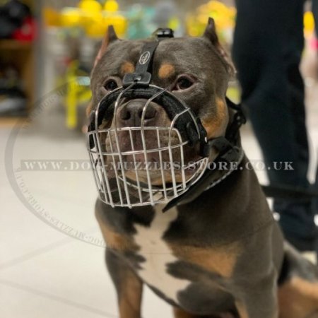 Metal Wire Dog Muzzle For XL Bully Size