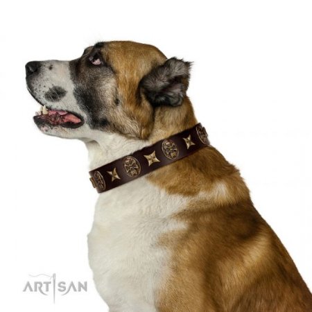 "Captain Hook" Chocolate Brown Leather Dog Collar FDT Artisan