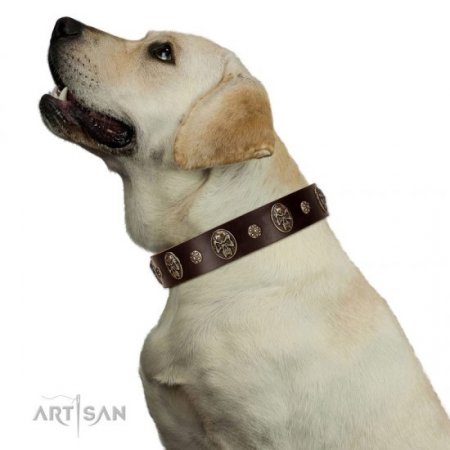 "Breaking the Horizon" Wide Brown Leather Dog Collar FDT Artisan