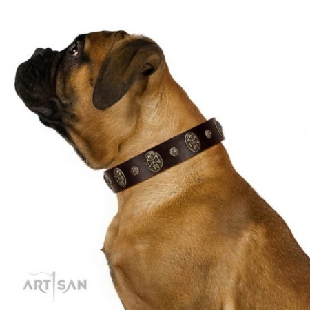 "Breaking the Horizon" Wide Brown Leather Dog Collar FDT Artisan