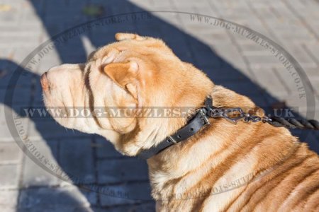 Strong Leather Dog Collar For Shar Pei With Half-Spheres