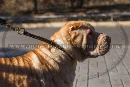 "Large Snake" Durable Leather Choke Dog Collar For Shar Pei