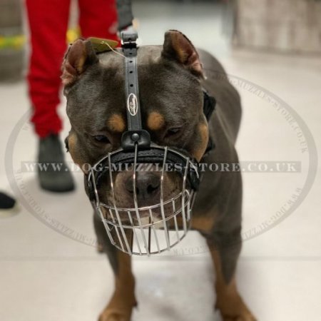 Metal Wire Dog Muzzle For XL Bully Size