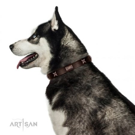 Handmade Strong Brown Studded Dog Collar FDT Artisan