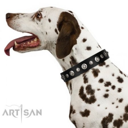 Luxury Black Leather Dog Collar with Studs FDT Artisan