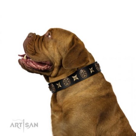 "Starry Saga" Black Leather Dog Collar With Studs FDT Artisan