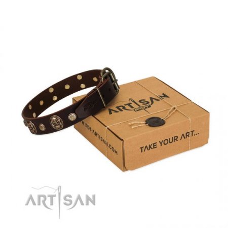 A Fancy Dark Brown Leather Dog Collar "Snazzy Paws" FDT Artisan