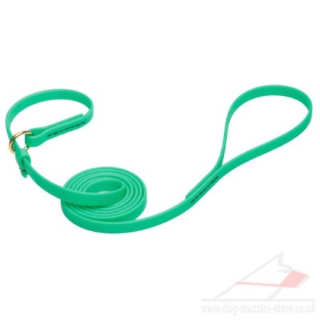 Green Dog Leash and Collar with Handle Water-Resistant Biothane