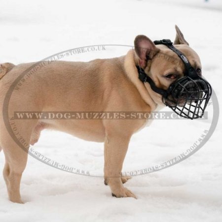 Black French Bulldog Basket Muzzle for Flat Faced Dogs