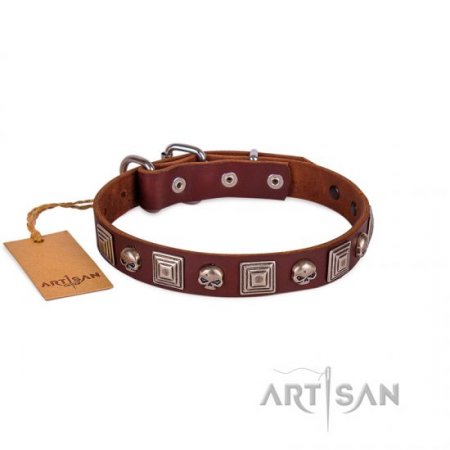 Extravagant Brown Leather Dog Collar With ID Plate FDT Artisan