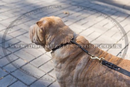 Shar Pei Dog Collar Round Leather Choker