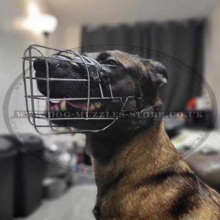 Female German Shepherd Muzzle Size Small Metal Basket