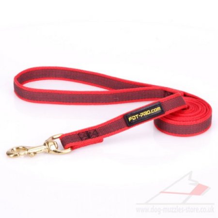 Fashionable Red Dog Lead UK For Everyday Walks 0.8" Width