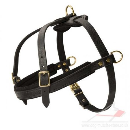 Spaniel Dog Body Harness with Chest Strap Real Leather Padded