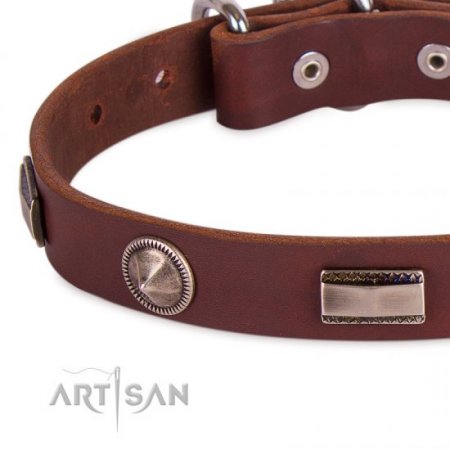 Premium Quality Dark Brown Studded Dog Collar FDT Artisan