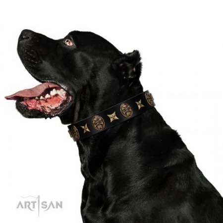 "Starry Saga" Black Leather Dog Collar With Studs FDT Artisan