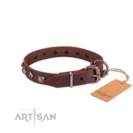 Exclusive Brown Leather Dog Collar With Nameplate UK