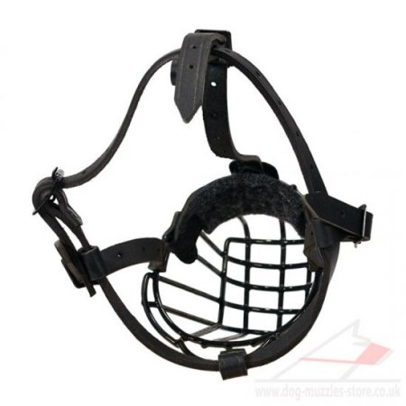 Dog Wire Basket Muzzle For Siberian Husky With Felt Padding