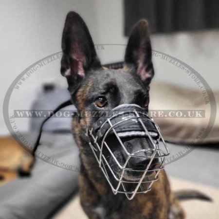 Female German Shepherd Muzzle Size Small Metal Basket