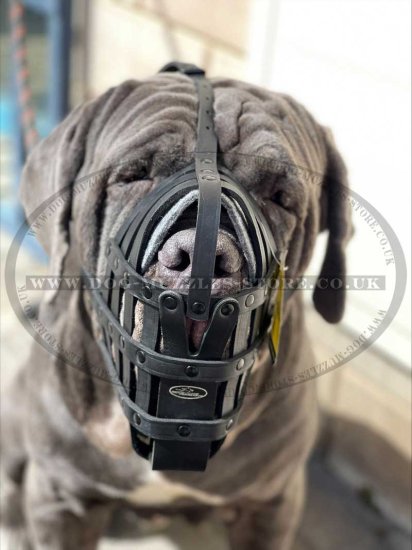 Neapolitan Mastiff Basket Muzzle for Giant Dogs UK Bestseller