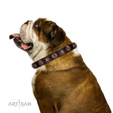 Fashionable Dark Brown Leather Dog Collar For Daily Walking
