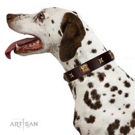 "Choco Dreams" Soft Brown Leather Dog Collar FDT Artisan