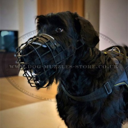 Safe Coated Wire Basket Dog Muzzle for Giant Schnauzer