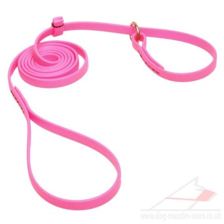 Hot Pink Dog Leash and Collar Set 6 Foot Waterproof Biothane