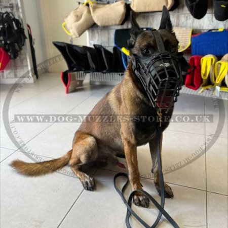 Belgian Malinois Dog Muzzle Basket Padded with Leather & Rubber