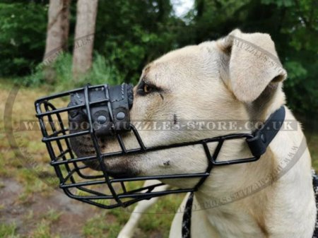 Rubber-Coated Pitbull Cage Muzzle for Large Dogs for Any Weather