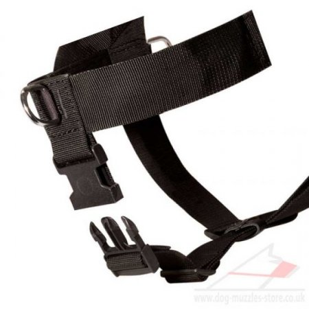 Japanese Akita Dog Harness No Pull Front Clip Best Seller