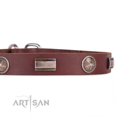 Premium Quality Dark Brown Studded Dog Collar FDT Artisan