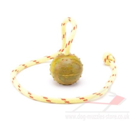 2 Inch Solid Rubber Ball for Dogs on Rope