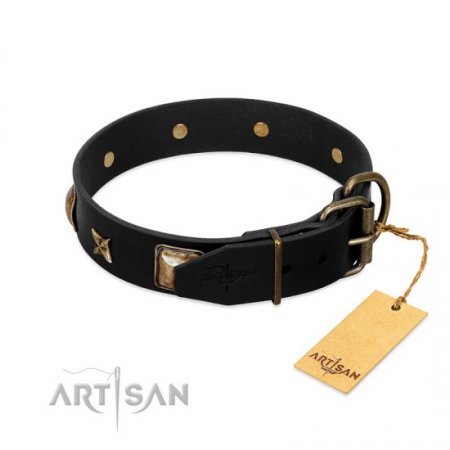 "Starry Harmony" Soft Black Leather Dog Collar FDT Artisan