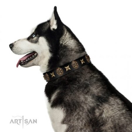 "Starry Saga" Black Leather Dog Collar With Studs FDT Artisan