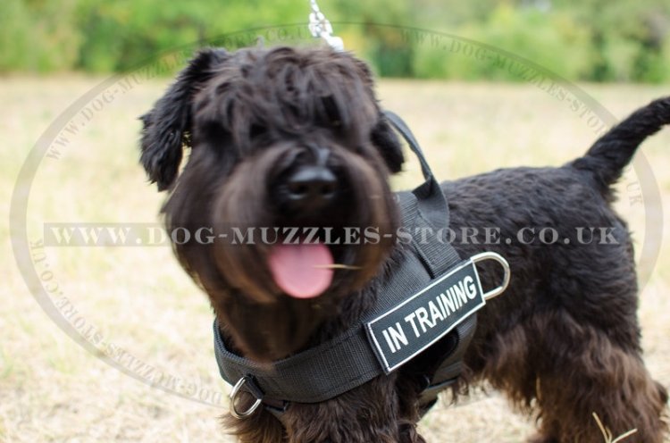 Giant/Miniature Schnauzer Dog Harness No Pull Front Clip