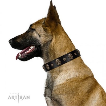 Adorable Black Leather Dog Collar "Pirate’s Spell" FDT Artisan