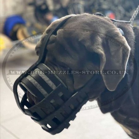 Neapolitan Mastiff Basket Muzzle for Giant Dogs UK Bestseller