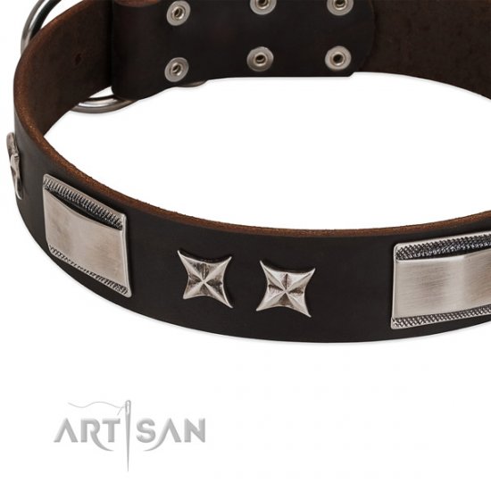 Embellished Chocolate Brown Dog Collar by FDT ARtisan