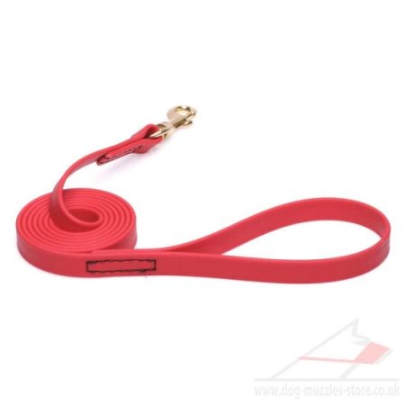 Red Dog Leash Wide Biothane Strap for Medium and Large Breeds