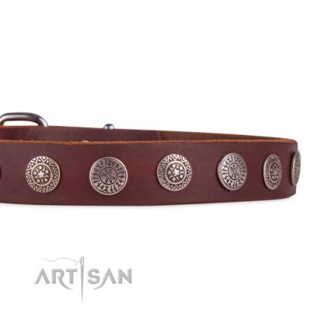 Handcrafted Brown Studded Buckle Dog Collar FDT Artisan