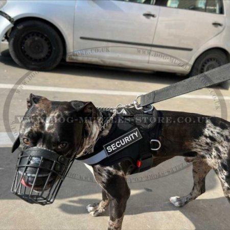 Rubber-Coated Pitbull Cage Muzzle for Large Dogs for Any Weather