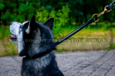 "Light Air" Effective Leather Choke Collar For Husky Dog