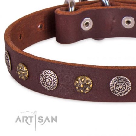 Adorned Brown Leather Dog Collar For Dogs 1 In Width