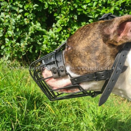 American XL Bully Muzzle Size Black Covered Wire Basket