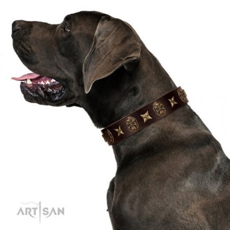 "Captain Hook" Chocolate Brown Leather Dog Collar FDT Artisan