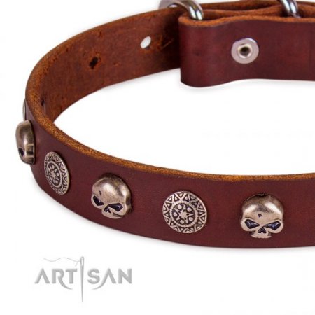 Adorable Dark Brown Leather Dog Collar With Skulls FDT Artisan